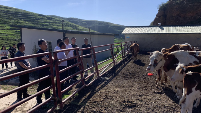 甘肅工程咨詢集團黨委書記、董事長宋忠慶一行赴卓尼縣柳林鎮(zhèn)幫扶村調研慰問